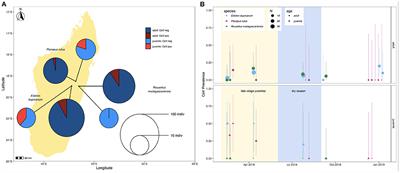 Full Genome Nobecovirus Sequences From Malagasy Fruit Bats Define a Unique Evolutionary History for This Coronavirus Clade